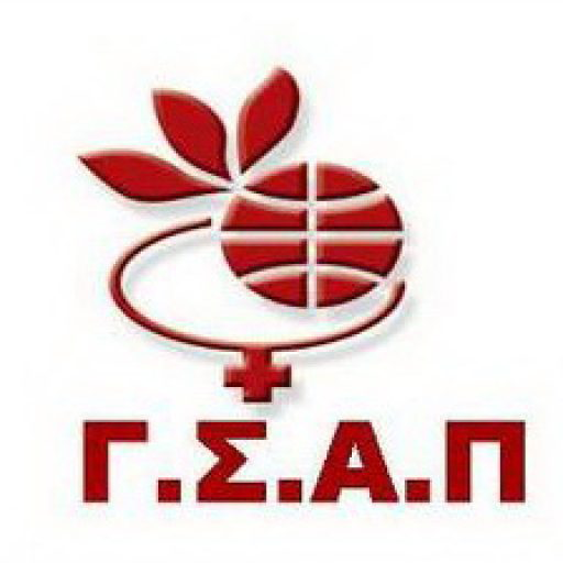 Team symbol of ΓΣ ΑΓ. ΠΑΡΑΣΚΕΥΗΣ